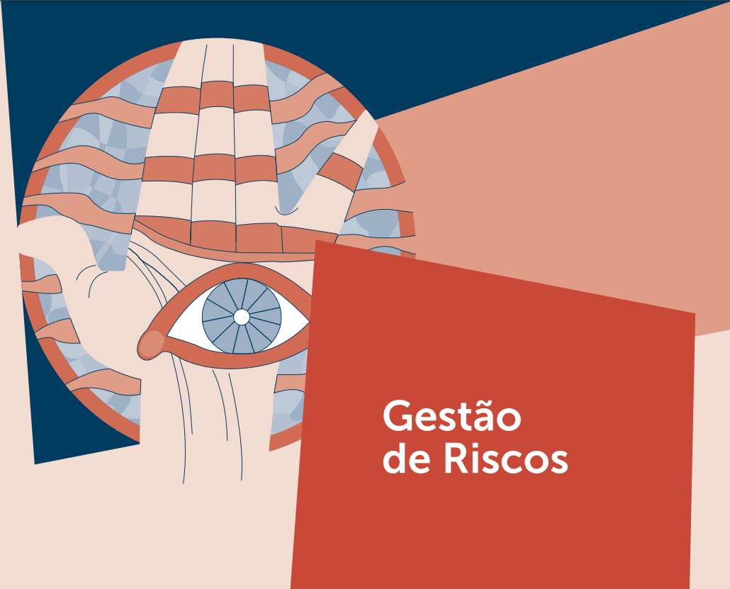 Capa do Guia de Gesto de Riscos